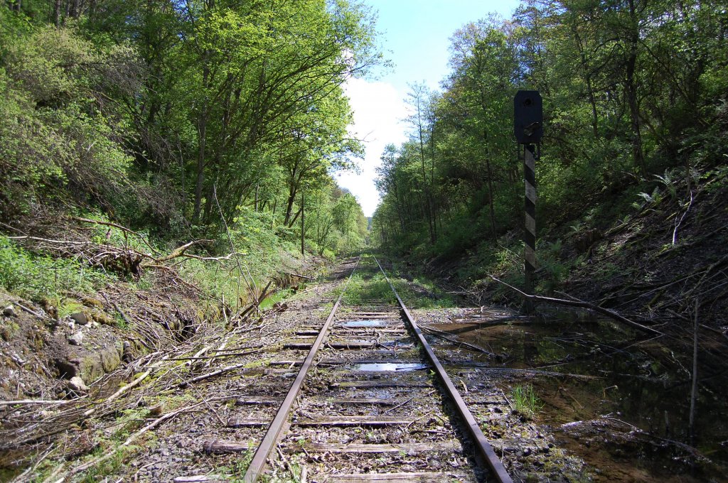Die wrttembergische Schwarzwaldbahn am 18. Mai 2013 zwischen Ostelsheim und Althengstett. Dort steht noch ein altes Signal.

