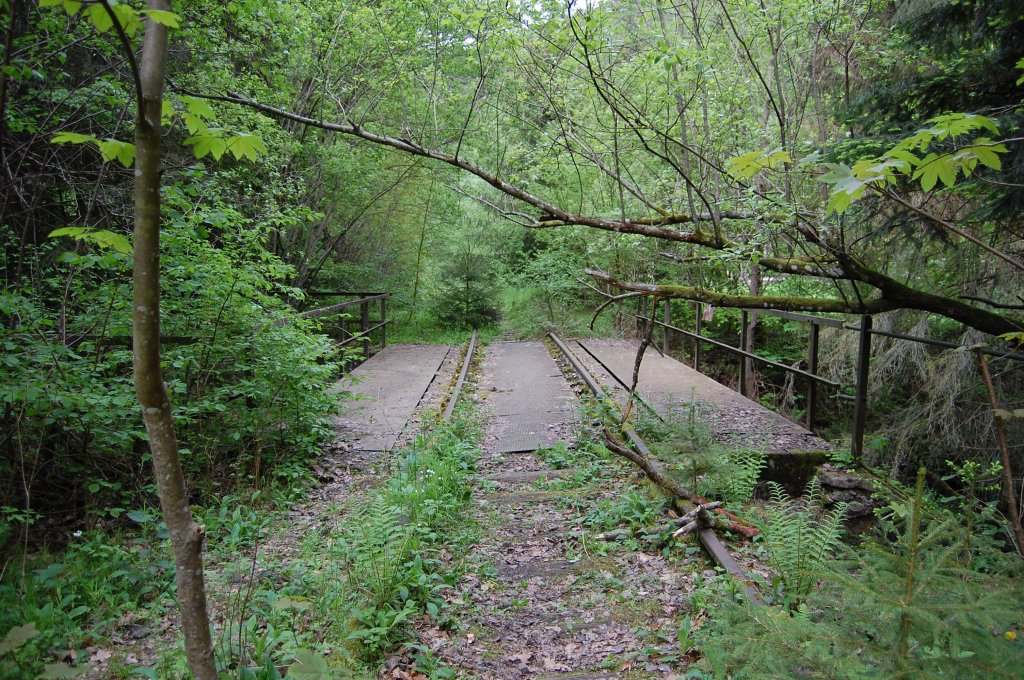 Die wrttembergische Schwarzwaldbahn am 21. Mai 2013 vor dem Haltepunkt Fuchsklinge an der Eisenbahnbrcke die einen Forstweg und den Tlesbach berquert. 