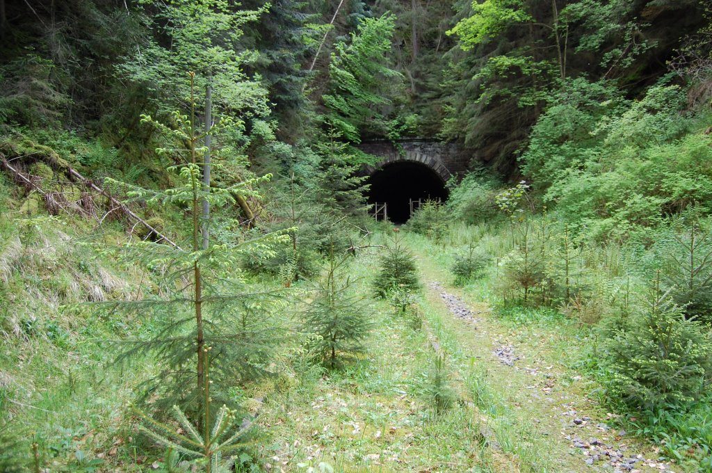 Die wrttembergische Schwarzwaldbahn am 21. Mai 2013 vor dem Nordportal des Hirsauer Tunnels.
