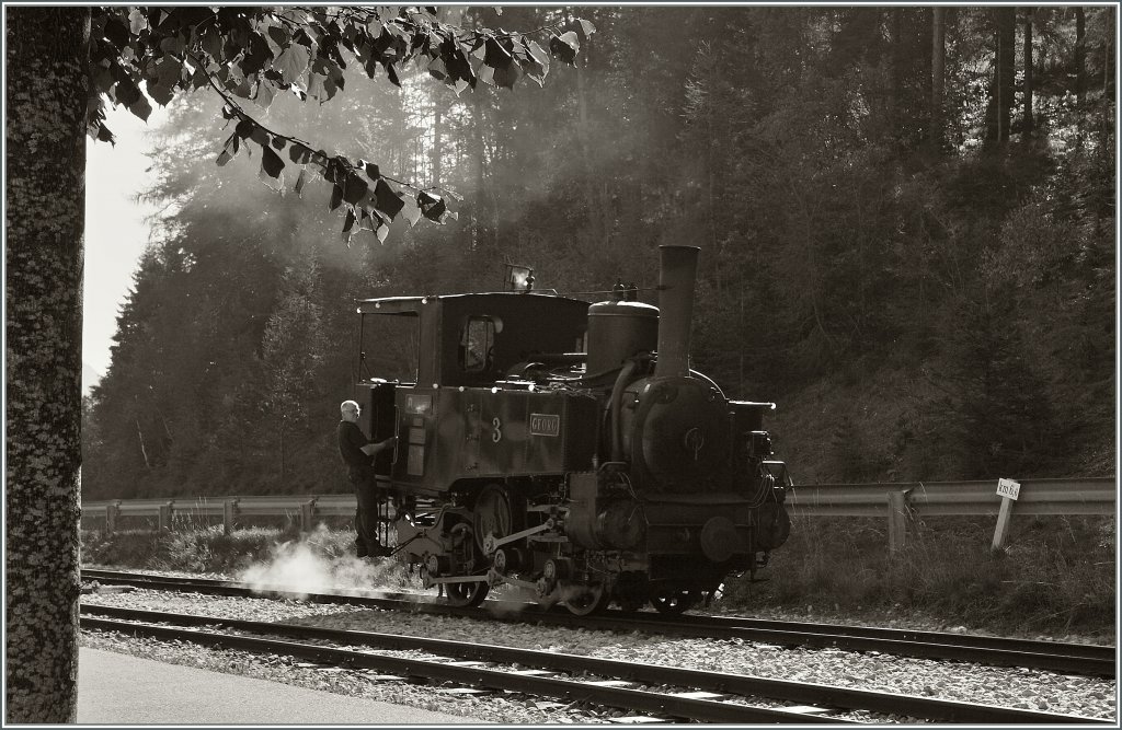 Die Zahnrad-Dampflok N 3  Georg  sieht auf der Ebene ein wenig windschief aus. Doch die herrliche Faszination, die von der alten Lok ausging, war Grund genug, sie bildlich festzuhalten. Achenseebahn, Endstation Seespitz, am 16. Sept. 2011.