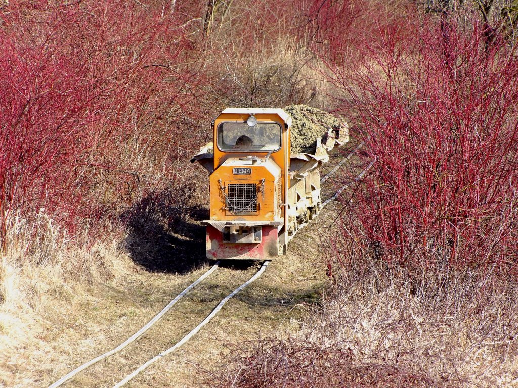 DIEMA-Lok zieht die gefllten Loren auf der naturbelassenen Feldbahn-DANREITER;120309