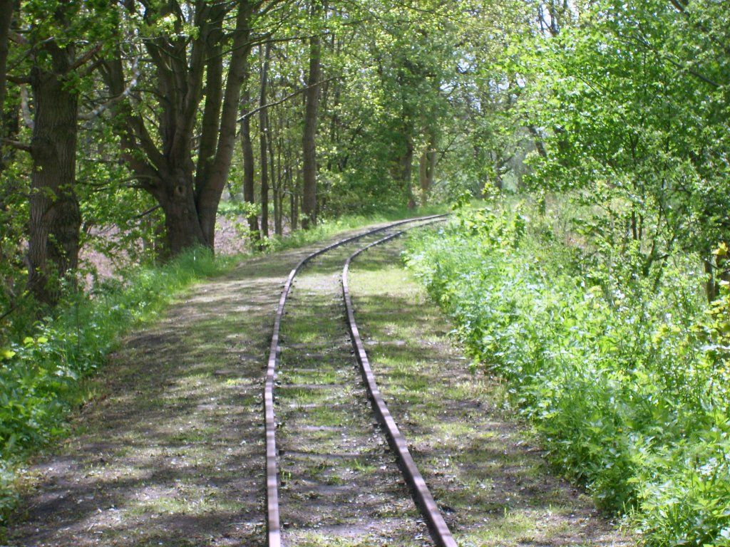 Dies sind die noch heute vorhandenen �berreste der im Jahr 1967 stillgelegten Bahnstrecke von Putbus nach Altef�hr auf der Insel R�gen. Aufnahme vom 12.5.2012 , in der N�he von Putbus.