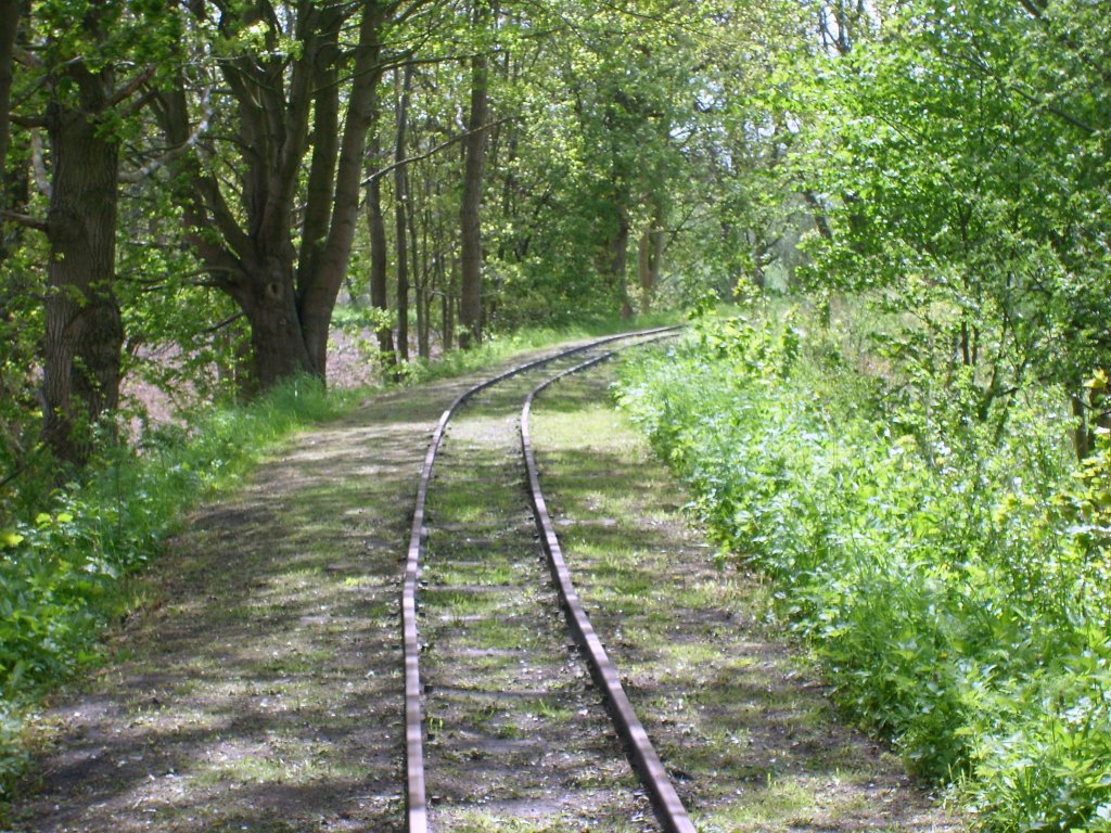 Dies sind die noch heute vorhandenen berreste der im Jahr 1967 stillgelegten Bahnstrecke von Putbus nach Altefhr auf der Insel Rgen. Aufnahme vom 12.5.2012 , in der Nhe von Putbus.