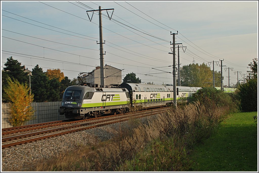 Diese Aufnahme des CATs (1116 142) im alten Design enstand am 23.10.2010 um 15.45 in der Nhe des Zentralverschiebebahnhofes. Im Hintergrund ist der 2 CAt im neuen Design zu erkennen vom Flughafen Wien Schwechat kommend bei mir vorbeiraste.
