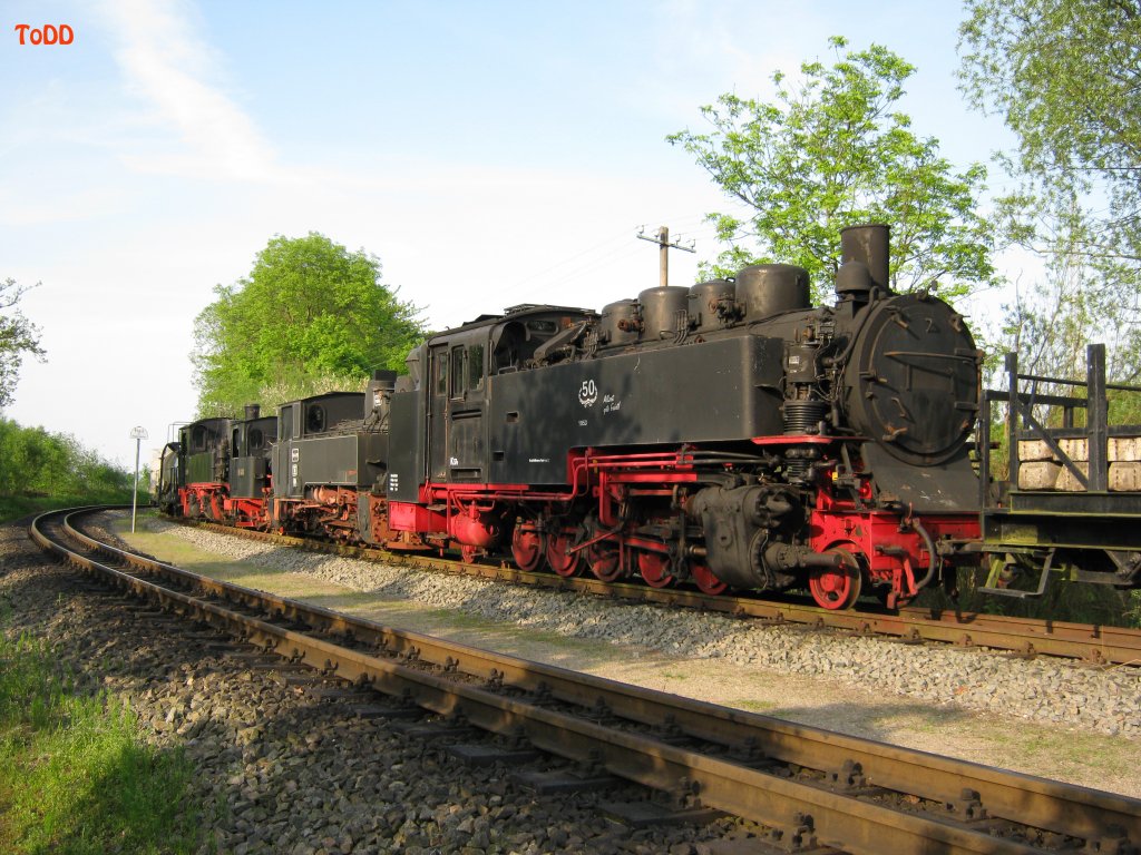 Diese Loks stehen alle auf einem Abstellgleis in Putbus. Der Bereich ist auch ffentlich zugnglich. Dort stehen eine 99 782, eine Malletlok, die 99 4603 und eine Lok aus Osteuropa.