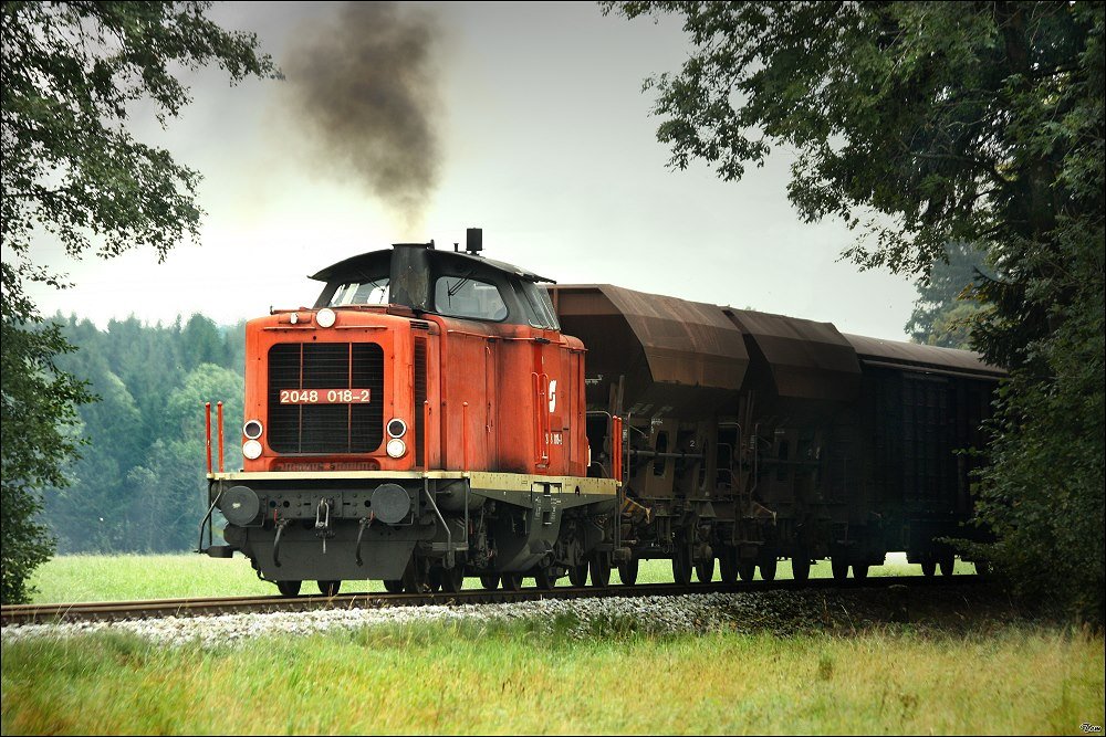 Diesellok 2048 018 fhrt mit einem Fotogterzug von Timelkam nach Ampflwang. 4.10.2008
