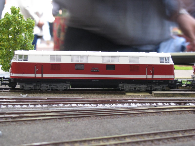 Diesellokomotive BR 118 802-8 -DR- in Spur H0, fotografiert im Mecklenburgisches Eisenbahn- und Technikmuseum (Bw)Schwerin 27.09.2009
