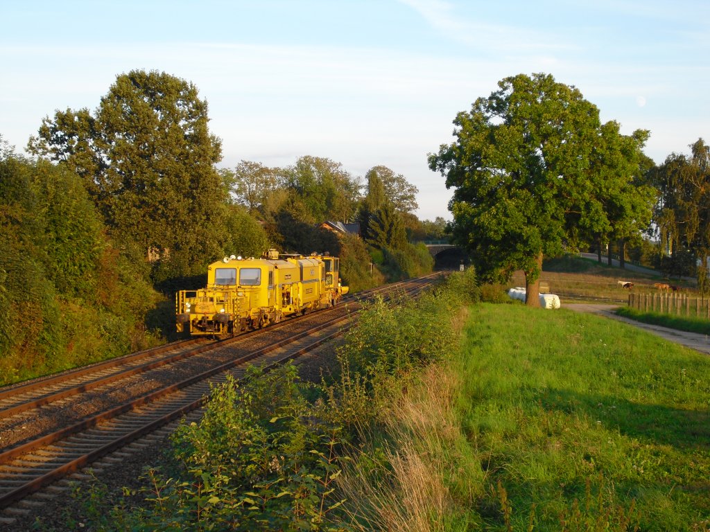 Dieser Gleisbauzug mit Schotterprofiliermaschiene fuhr am 19.09.10 in Obermylau Richtung Plauen/V.
