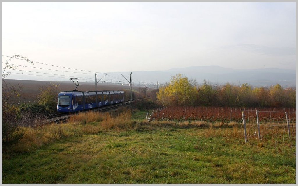 Dieser RNV8-Wagen ist am 22. November 2011 auf der berlandstraenbahnlinie 4 (der frheren Rhein-Haardtbahn) in den Bad Drkheimer Weinbergen Richtung Mannheim unterwegs.  