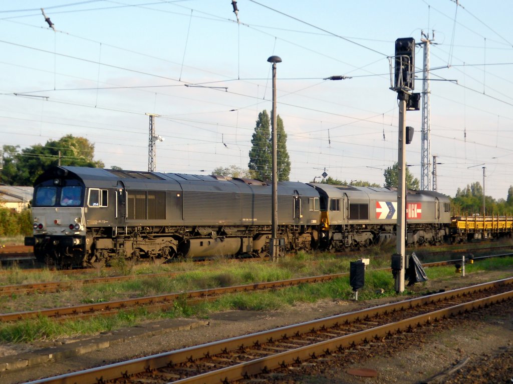 Doppelte Dieselkraft mit einem Altschwellenzug am 01.10.2010 . Zwei Class 66 von Dispo-Lok (266 114-8 und 266 038-9) beim Halt im Bf Oranienburg.