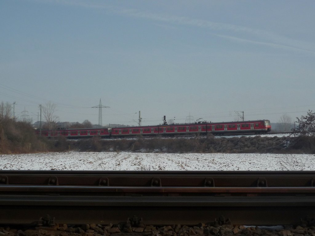Doppeltraktion Br 420 als S8 Offenbach-Ost - Wiesbaden Hbf auf der Verbindungskurve zwischen Mainz-Nord und Wiesbaden-Ost. 17.02.10