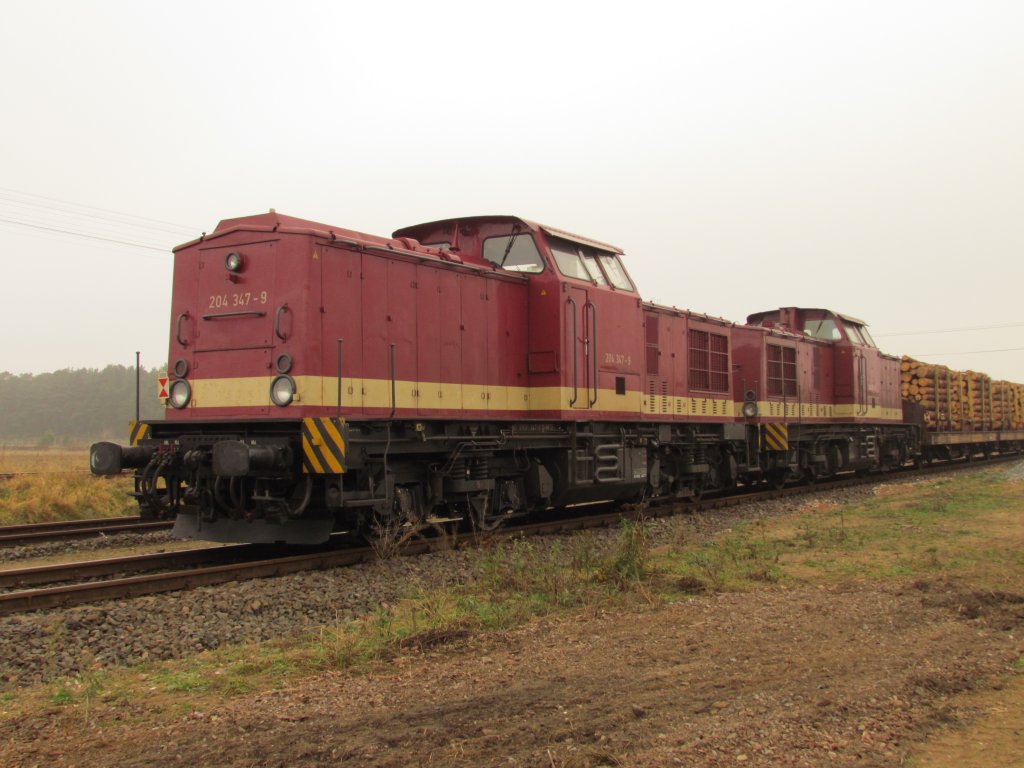 Doppeltraktion V 100 mit 2x BR 204 am 24.11.2011 in Parchim 