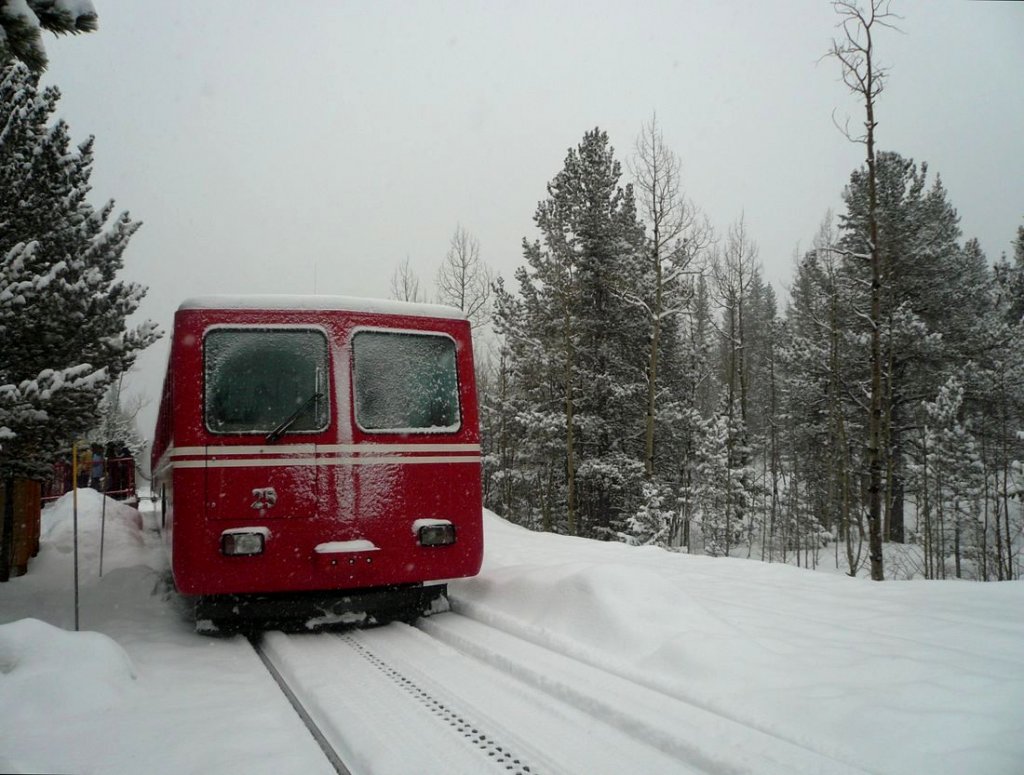 Doppeltriebwagen 25 an einer Unterwegsstation, 19.Mrz 2010. 