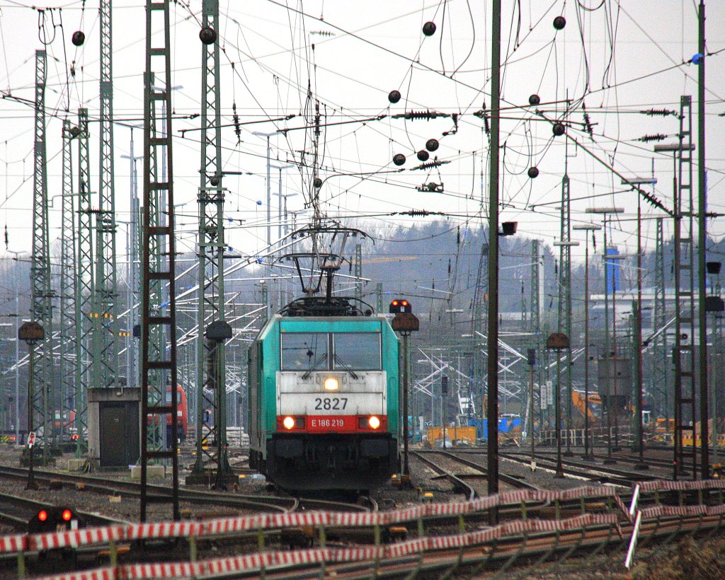 Drei Cobra 2827,2804,2832 fahren als Lokzug von Aachen-West nach Kln-Gremberg und fahren in Richtung Aachen-Hbf,Kln bei Wolken am 2.1.2013.