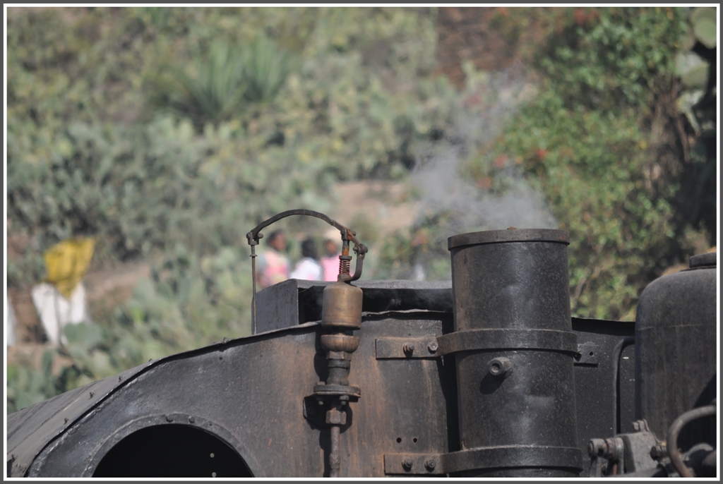 Drei Kakteenpflckerinnen im Visier der Lokpfeiffe von 442.56 in Arbaroba. (01.02.2012)
