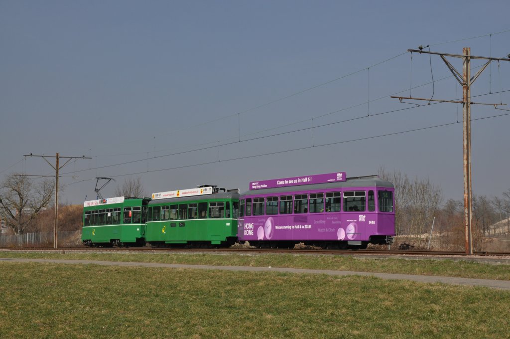 Dreiwagenzug mit dem Be 4/4 484, dem B4S 1487 und dem B4 1446 auf der Linie 14 fahren zur Haltestelle Rothausstrasse. Die Aufnahme stammt vom 13.03.2012.
