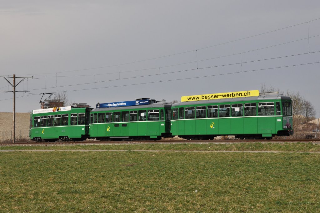 Dreiwagenzug mit dem Be 4/4 502, dem B4S 1505 und dem B4 1455 auf der Linie 14 fahren zur Haltestelle Rothausstrasse. Die Aufnahme stammt vom 17.03.2012.