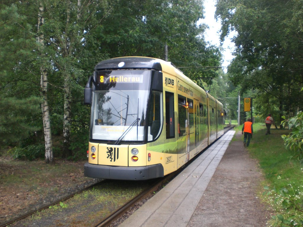 Dresden: Straenbahnlinie 8 nach Sdvorstadt an der Haltestelle Hellerau Kiefernweg.(29.7.2011)