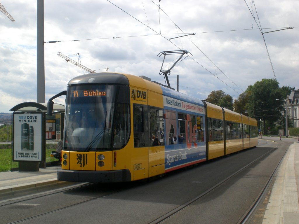 Dresden: Straenbahnlinie 11 nach Bhlau Ullersdorfer Platz an der Haltestelle Radeberger Vorstadt Waldschlchen.(18.8.2010)