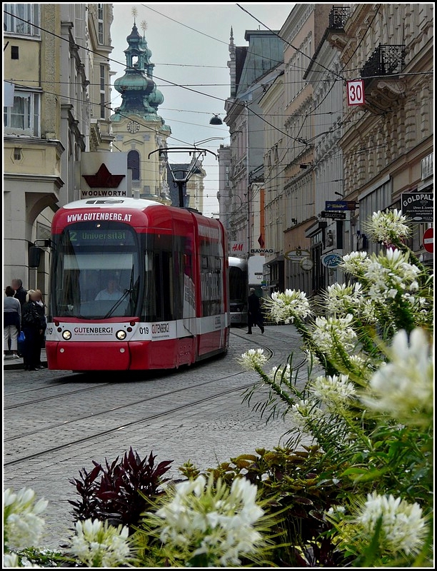 Durch die Blume nhert sich der Cityrunner 019 dem Hauptplatz in Linz. (Jeanny)