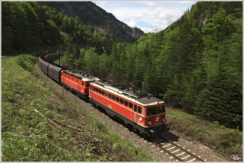 Durch das Gesuse, ziehen 1142 682 & 1144 040 den Erzleerzug 58667 von Selzthal nach Eisenerz, hier nahe Hieflau. 
10.5.2012