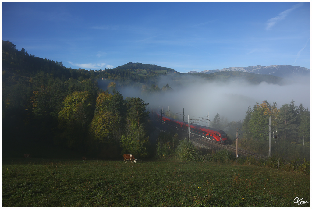Durch den Morgennebel auf der Semmering Nordrampe, fhrt 1116 235 mit railjet 555 von Wien Meidling nach Graz.
Steinbauer Wiese Eichberg 18.10.2012
