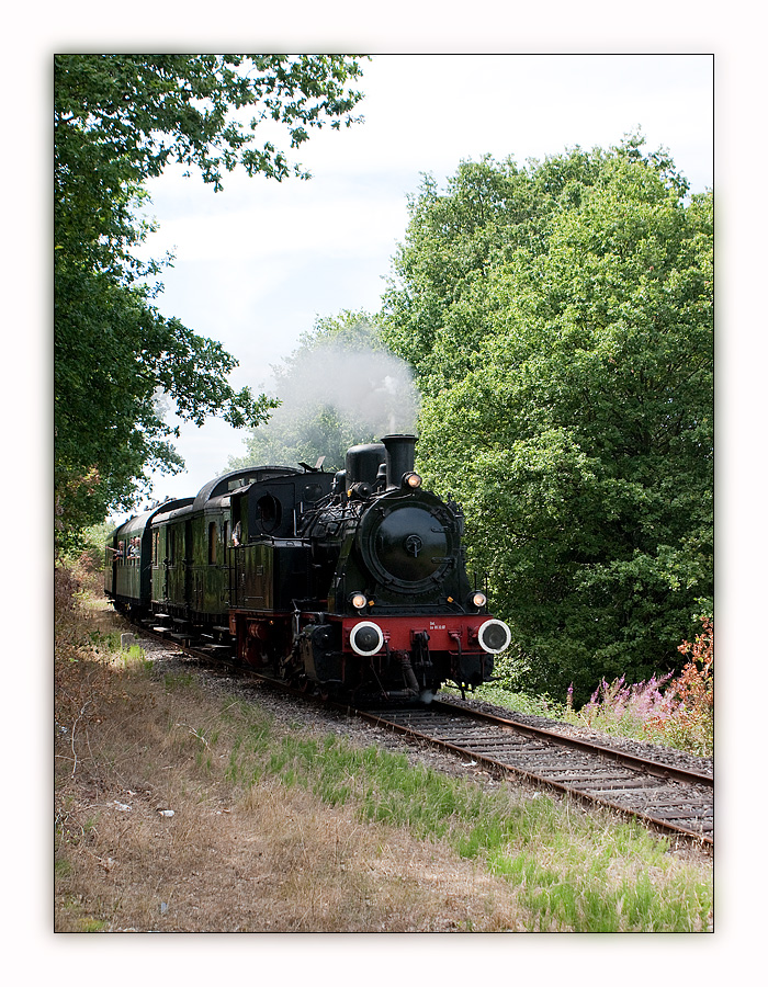 Durch die W�lder, durch die Auen...
...f�hrt hier die kleine Lok der Museumsbahn Losheim