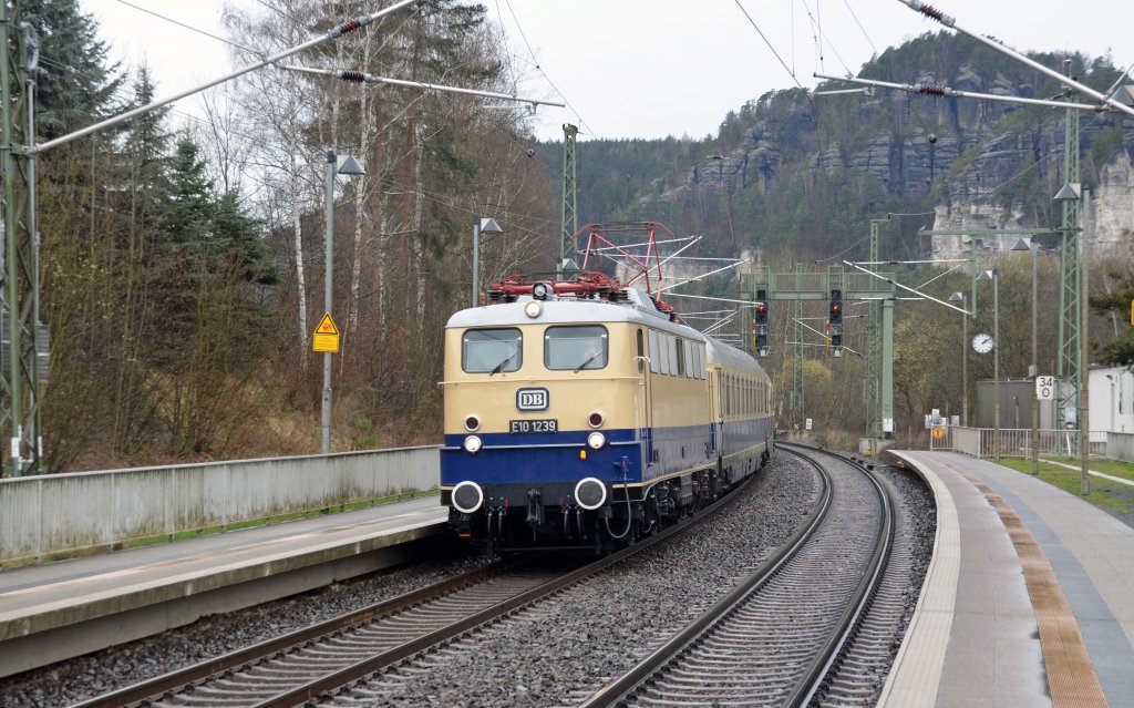 E 10 1239 durcheilt mit dem Sonderzug von Dresden nach Bad Schandau am 31.03.12 den Haltepunkt Rathen.