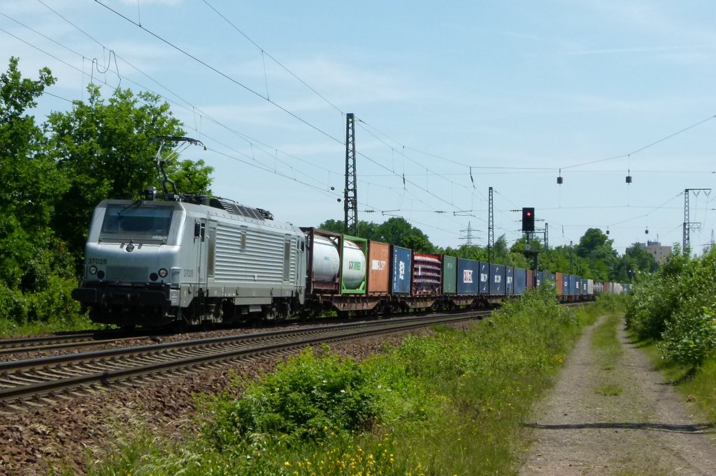 E 37 028 ist mit einem Containerzug am 26.05.2012 in Kennelgarten
