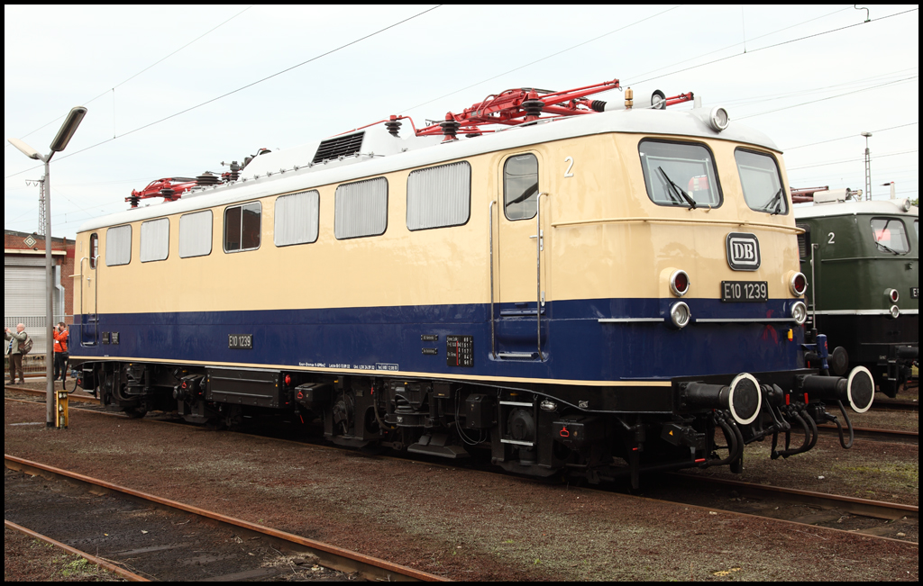 E10 1239 im BW Osnabrck. (19.09.2010)