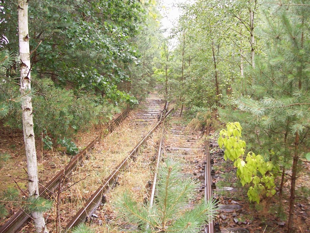 Eberswalde-Finowfurter Eisenbahn, bei Km 3,05 an der Chemischen Fabrik Finowtal 10.08.08