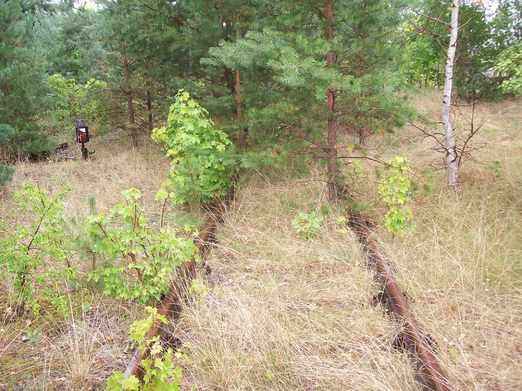 Eberswalde-Finowfurter Eisenbahn, bei Km 5,0 am Abzweig zum Messingwerk
31.08.08