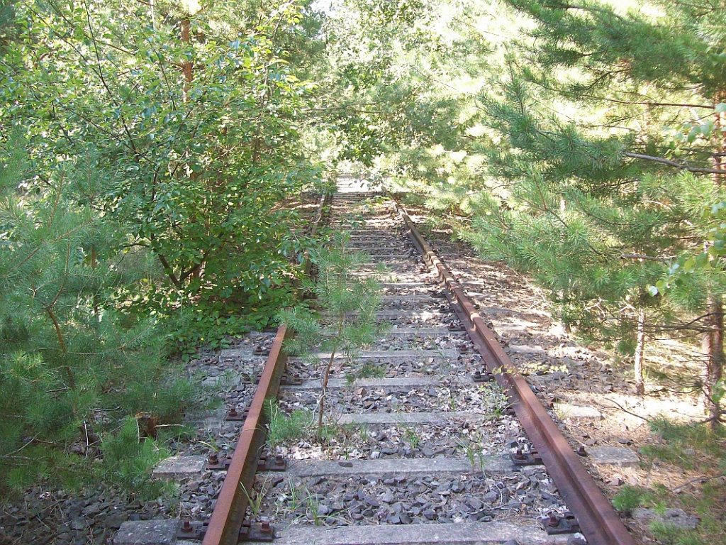 Eberswalde-Finowfurter Eisenbahn, etwa bei Km 7,0 zwischen Flugplatz Finow und Finowfurt 31.08.08