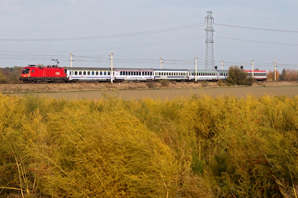 EC 103  Polonia  ist von Warschau nach Villach unterwegs. Die Aufnahme entstand am 05.11.2011 kurz nach Deutsch Wagram und Wien Senbrunn.