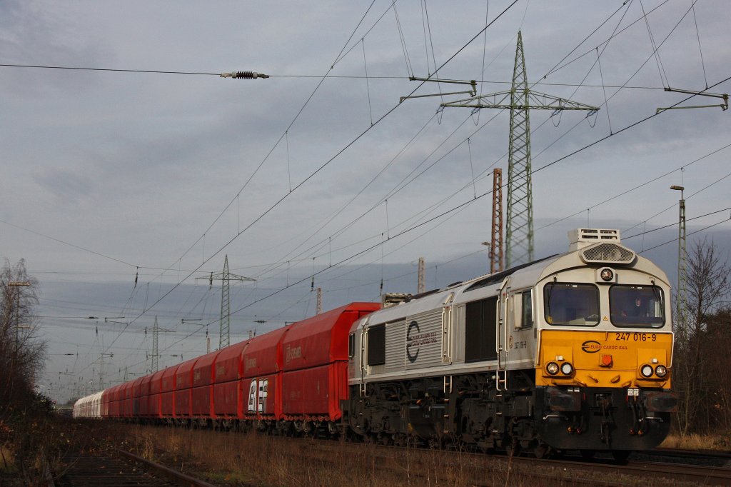 ECR 247 016 am 11.12.11 mit einem Kalkzug ins Angertal bei der Durchfahrt durch Ratingen-Lintorf.