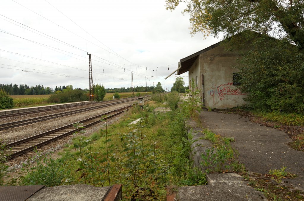 ehehmaliger Gterschuppen Gleisseite, Gleisbett total zugewachsen,Bahnhof Gersthofen, Bayern, 15.08.2012