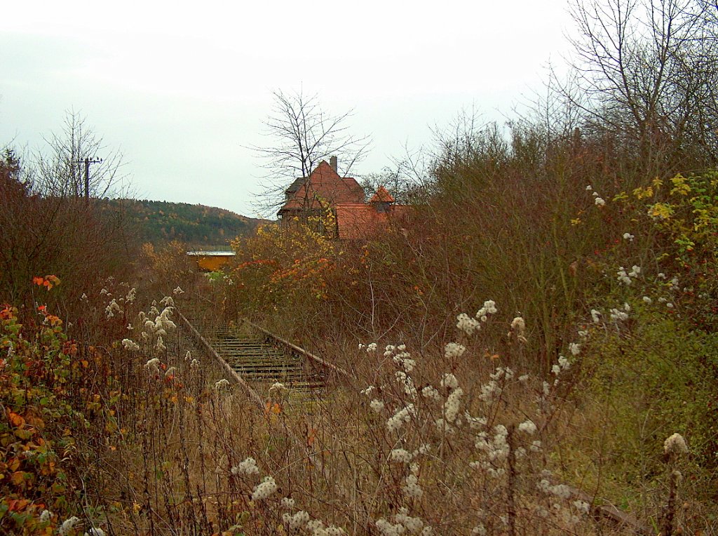 Ehemaliger Bf Golzen an der Finnebahn zwischen Laucha und Bad Bibra; 15.11.2009