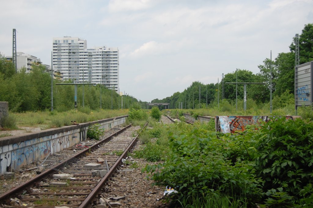 Ehemaliger S-Bahnhof Olympiastadion (Oberwiesenfeld) am 2. Juni 2012. Vegetation

