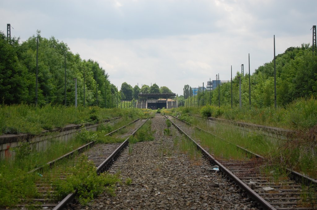 Ehemaliger S-Bahnhof Olympiastadion (Oberwiesenfeld) am 2. Juni 2012. Vegetation