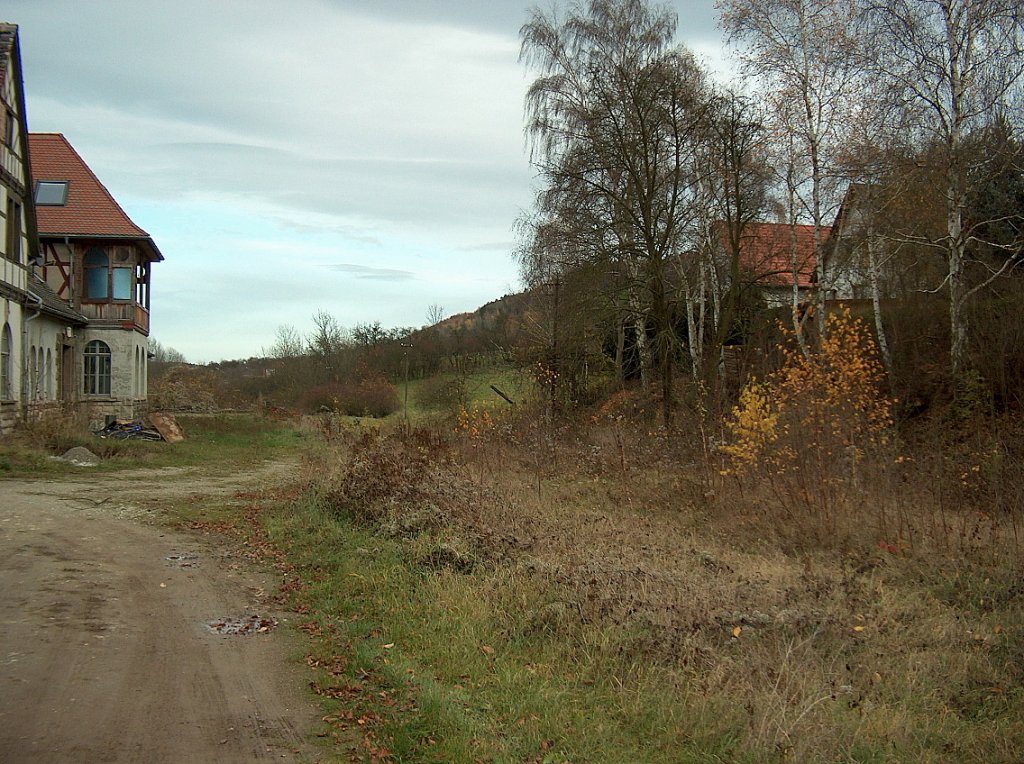 Ehemaliges Gleisbett und ehemalige Bahnsteiganlage im Bf Bad Bibra; 15.11.2009