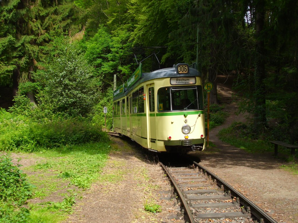 Ehemmaliger BOGESTRA Triebwagen  Bergischen Straenbahnmuseums, Wuppertal (18.06.2011).