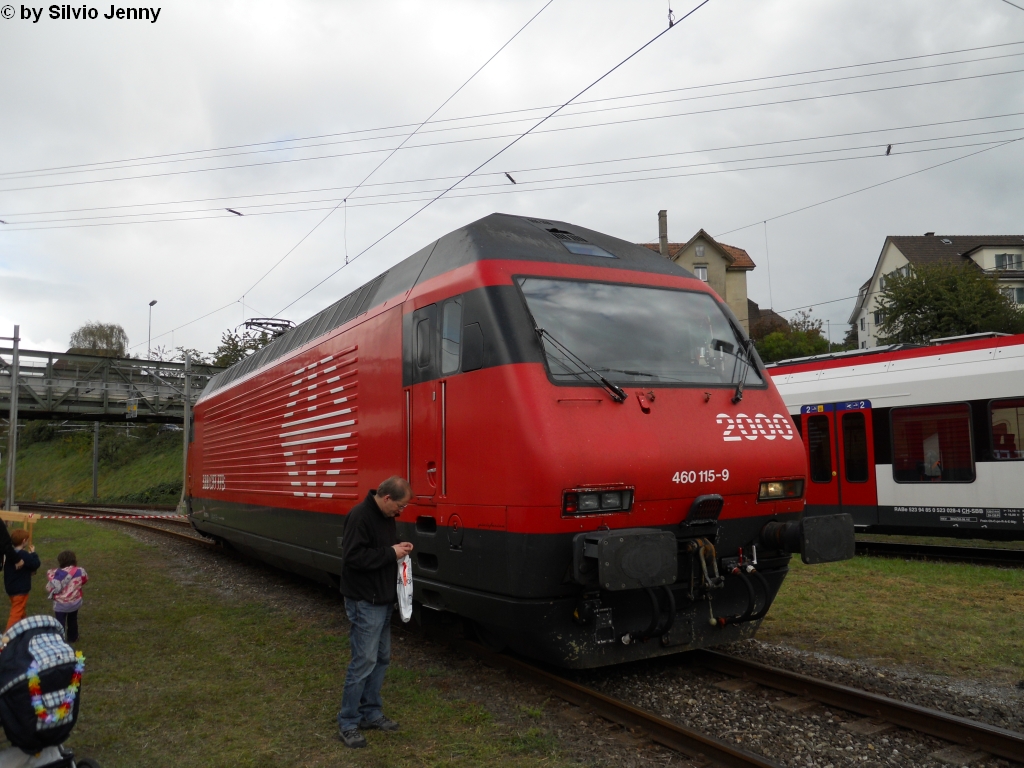 Eigentlich htte es ja ein Lokportrait mit der Re 460 115-9 ''Heidiland'' werden sollen. Doch wie an jedem solchenFest, wie es am 26.9.2010 im Depot Biel war, lauft des fteren mal ein Passanten ins Bild hinein. Na ja, positiv formuliert soll dieses Bild zeigen, wie viele Personen sich an der Eisenbahn begeistern.