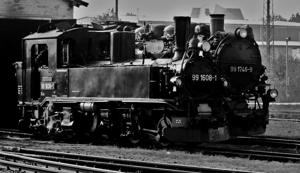 Eigentlich htten die beide  Damen   99 1608-1  und 99 1746-9 einen besseren 
Fotoghrafen verdient, als  sie  sich  am 10.09.2005 um 08.45 Uhr  vor dem 
groen Dampfspektakel vor dem Schuppen prsentieren. 