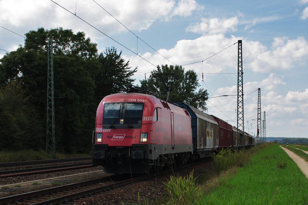 Eigentlich sollte 1116 007 an diesem Zug hngen als aber dann 1116 003  Rail Cargo Austria  am Zug hing, hatte ich nichts einzuwenden. (19.08.2010, Mangolding)