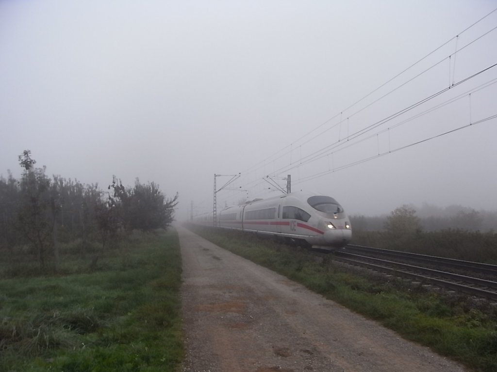Ein 403 am 14.10.10 zwischen Denzlingen und Freiburg.