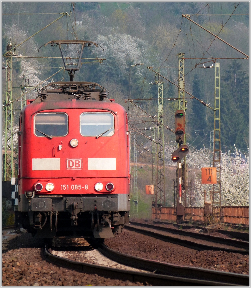 Ein lteres Schtzchen ,diese 151 085-8 ,ein richtiges Kraftpaket der Bahn,hier unterwegs und frontal vor die Linse gefahren in Erpel am Rhein auf der rechten Rheinstrecke im April 2013.
