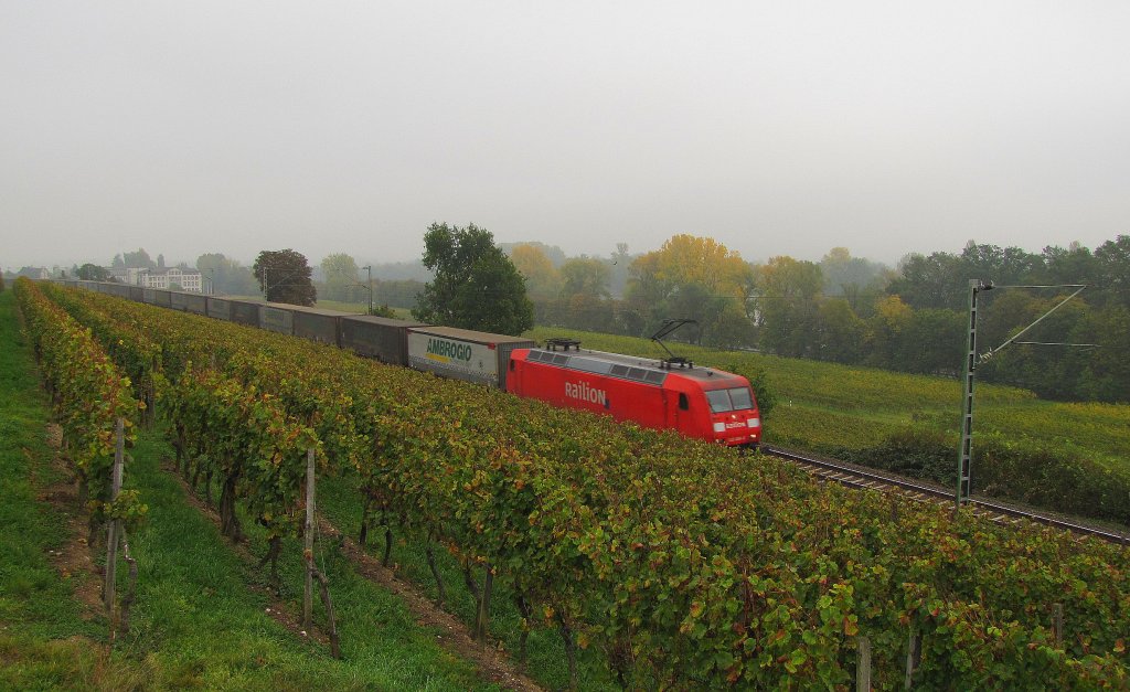 Ein Ambrogio-KLV auf der Fahrt ins Ruhrgebiet in den Erbacher Weinbergen; 21.10.2011