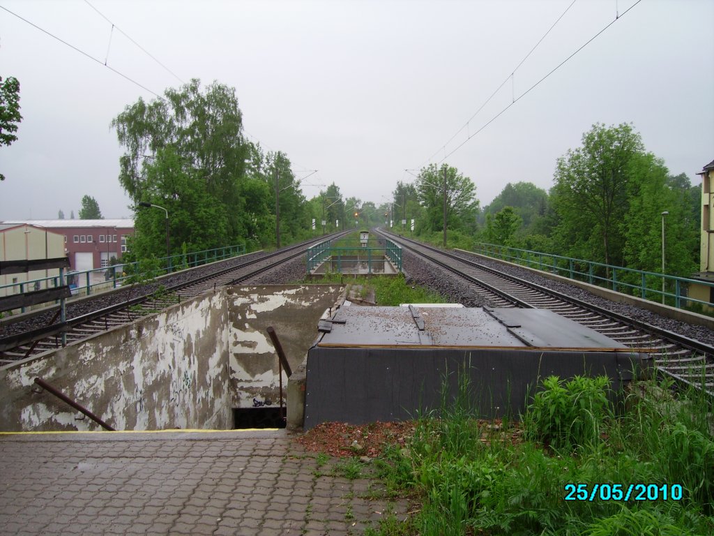 Ein Blick vom Haltepunkt Zwickau-Plbitz in Richtung Zwickau Hbf. 25.05.2010