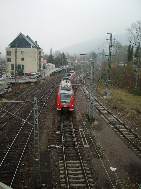 Ein BR 425 der S-Bahn Rhein Neckar in Neckargem�nd am 18.02.11