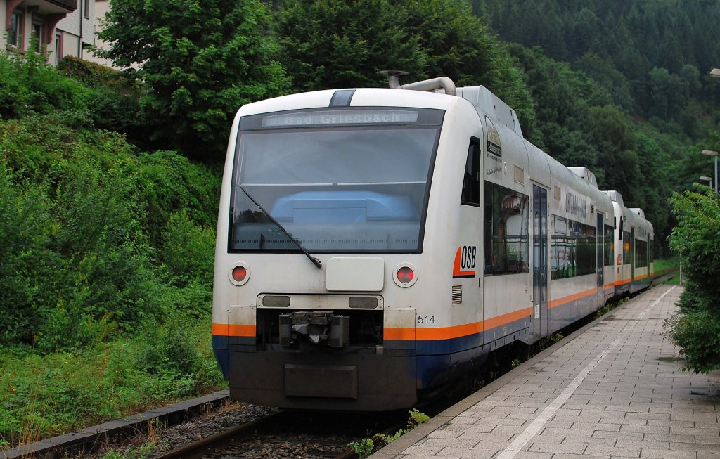 Ein Doppel BR 650 von Ortenau S-Bahn (Freudenstadt Hbf - Bad Griesbach) hier bei Ausfahrt von Bf Wolfach in das schne Kinzigtal am 05. 08 2010.